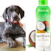 11 Best Shampoos For German Shorthaired Pointers in the U.S.